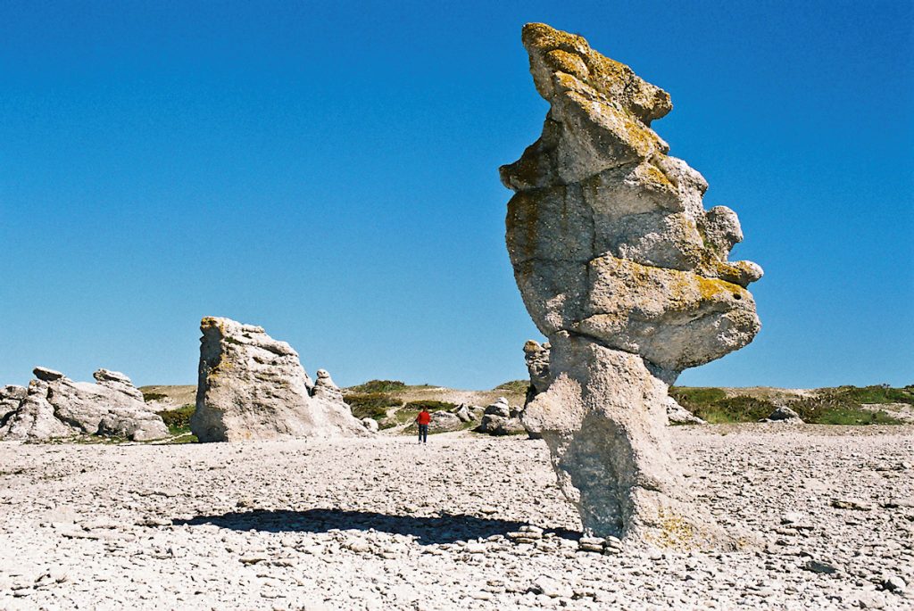 Wind shaped rocks (raukar) at Gotland's satellite island of Fårö, once forbidden for foreigners as it was key in the military defence of Gotland (Photo Marcel Burger)
